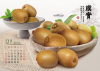25K三角桌曆 - 福足有餘 - 25-2510 -2026 月曆、桌曆、筆記本 | 嘉浤禮贈品百貨|嘉浤企業社