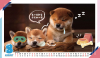 20K三角桌曆 - 汪汪冒險 - 25-2011 -2026 月曆、桌曆、筆記本 | 嘉浤禮贈品百貨|嘉浤企業社